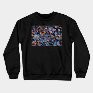 Autumnal Crewneck Sweatshirt